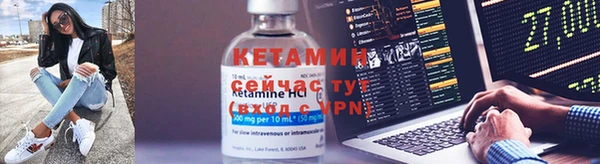 ешки Алексин