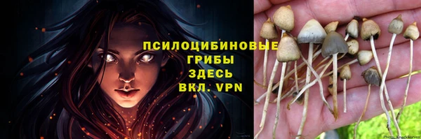 ешки Алексин