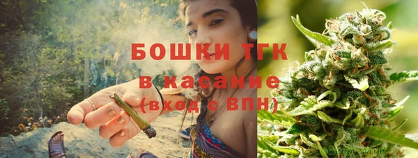 ешки Алексин