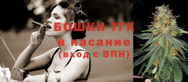 ешки Алексин